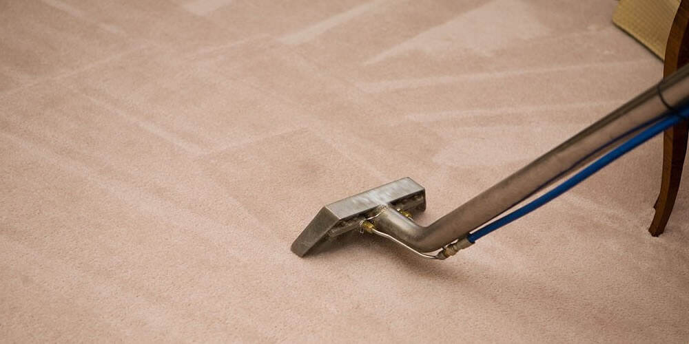 Which Carpet Cleaning Method Should You Choose? Steam or Dry?